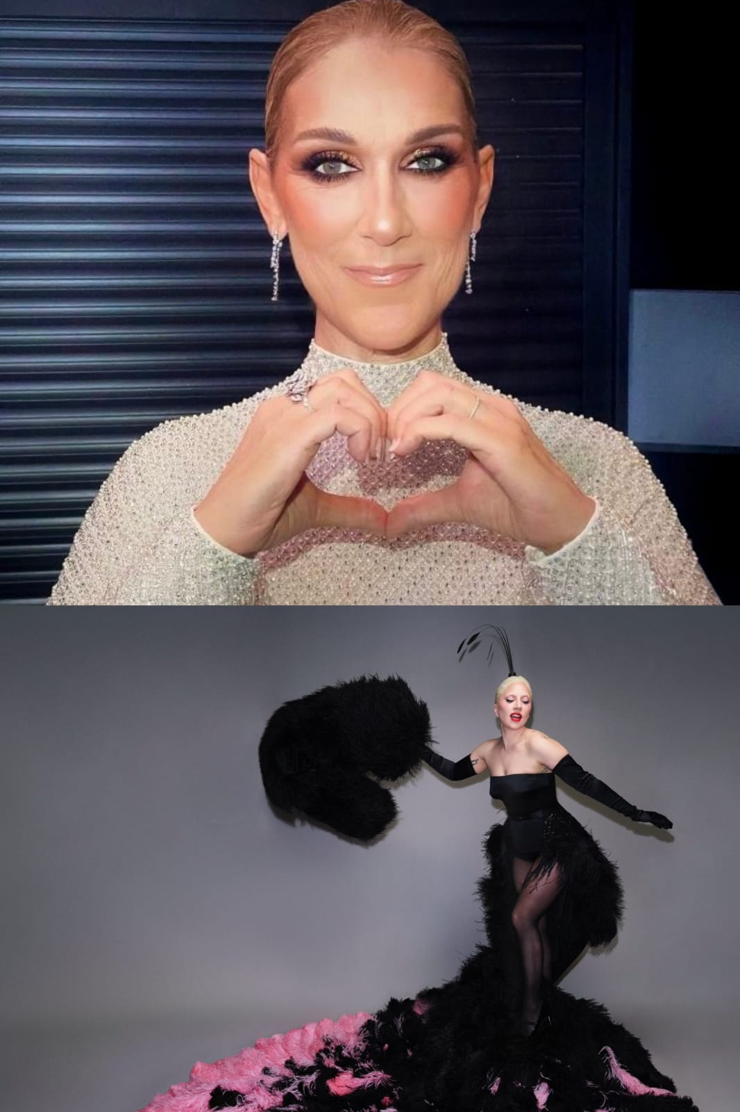 The picture taken from Lady Gaga Céline Dion X Account