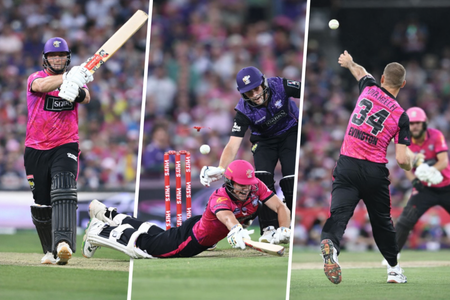 the picture has been taken from AI SYDNEY SIXERS